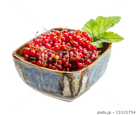 Red currant 13125754