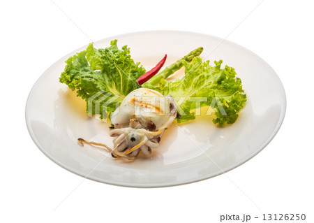 Grilled cuttlefish 13126250