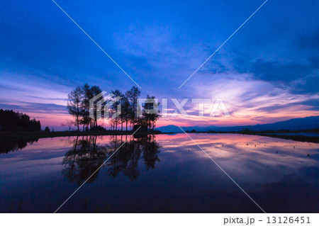 夜明前の神秘的な水鏡の棚田 13126451