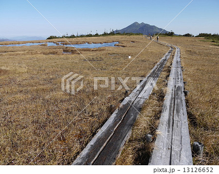 尾瀬　アヤメ平より燧ヶ岳 13126652