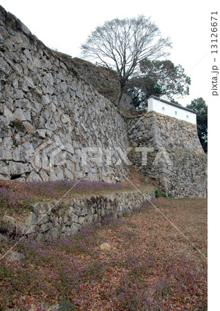 備中松山城 の城壁 備中松山城 の城壁 13126671