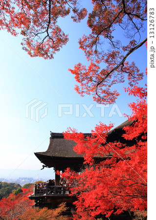 11月京都 清水寺・紅葉 11月京都 清水寺・紅葉 13126783