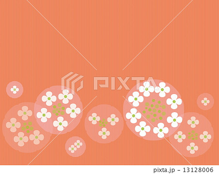 ガクアジサイ 13128006