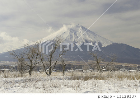 富士山の冬景色 富士山の冬景色 13129337