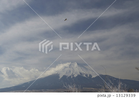 富士山の冬景色 富士山の冬景色 13129339