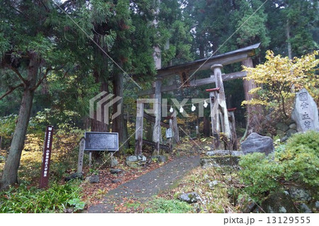 信濃三十三観音霊場小菅山菩提寺(第十九番札所)小菅神社の大鳥居と杉並木 信濃三十三観音霊場小菅山菩提寺(第十九番札所)小菅神社の大鳥居と杉並木 13129555