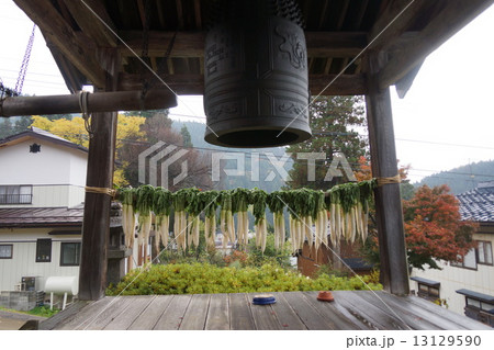 信濃三十三観音霊場小菅山菩提寺(第十九番札所)鐘付堂と大根 信濃三十三観音霊場小菅山菩提寺(第十九番札所)鐘付堂と大根 13129590
