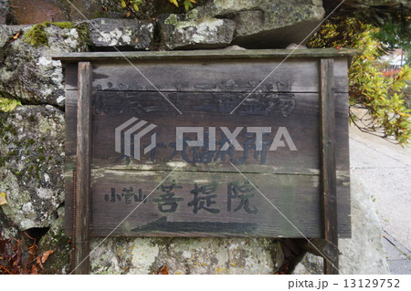 信濃三十三観音霊場小菅山菩提寺(第十九番札所) 信濃三十三観音霊場小菅山菩提寺(第十九番札所) 13129752