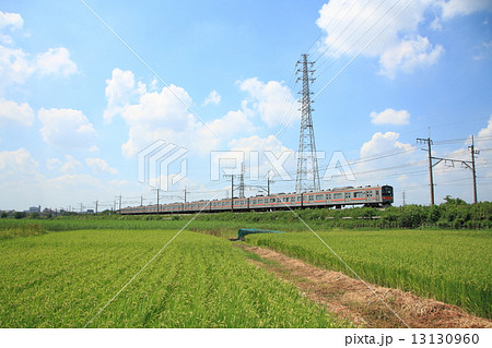 夏の見沼田んぼと武蔵野線 13130960