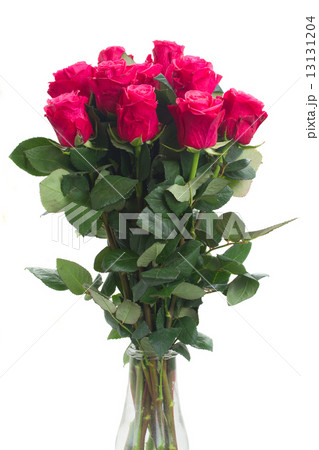 pink  flowers close up  13131204