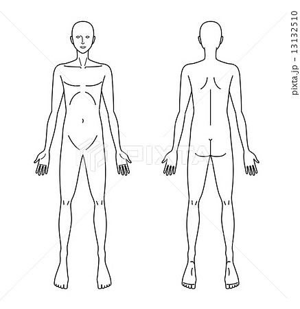 人体図のイラスト素材 13132510 Pixta