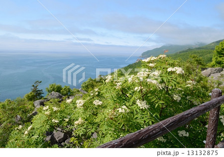 雄冬岬の風景 雄冬岬の風景 13132875