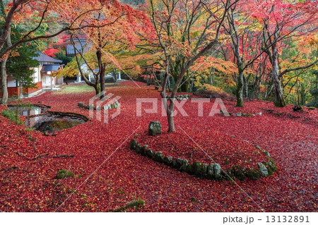 晩秋の鰐淵寺 晩秋の鰐淵寺 13132891