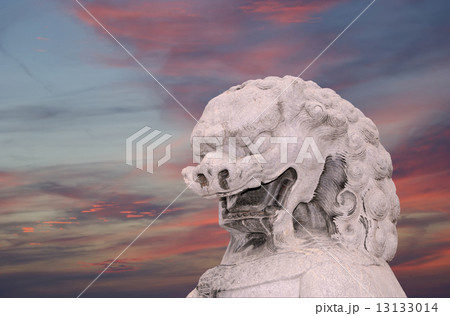 Stone Guardian Lion Statue in Beihai Park --Beijing, China Stone Guardian Lion Statue in Beihai Park --Beijing, China 13133014