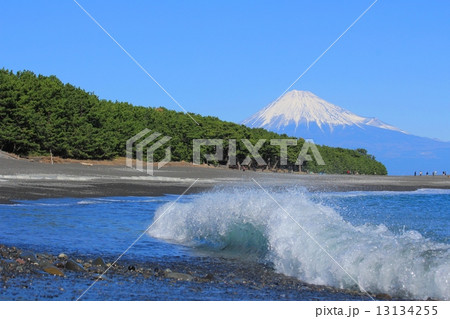 三保の松原からの世界遺産　富士山 13134255