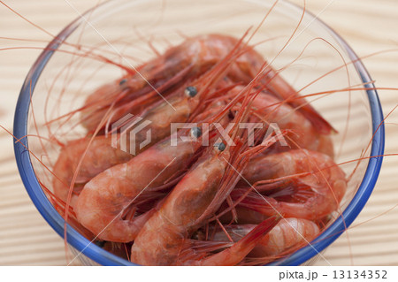 殻付きのアマエビ 13134352