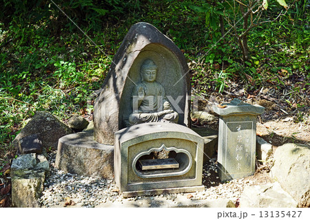 薬師如来 13135427