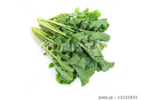 かき菜 13135835