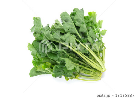 北関東の伝統野菜、かき菜 13135837