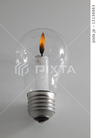 Bulb 13136663