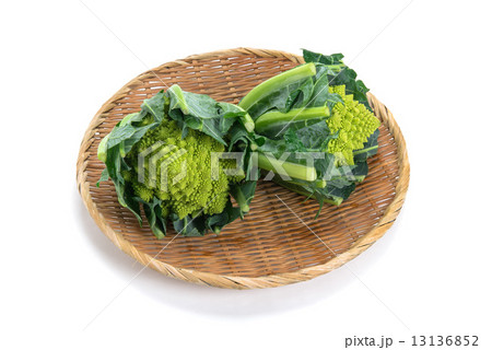 ブロッコリーロマネスコ ブロッコリーロマネスコ 13136852
