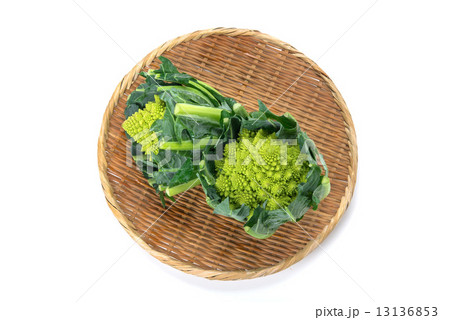 ブロッコリーロマネスコ ブロッコリーロマネスコ 13136853