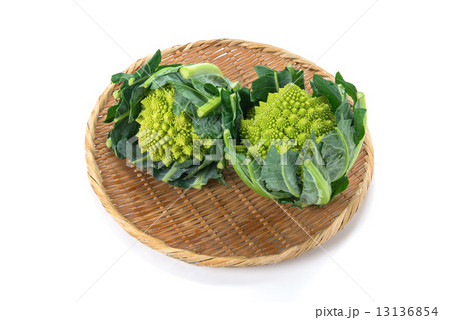 ブロッコリーロマネスコ 13136854