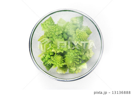 ブロッコリーロマネスコ 13136888