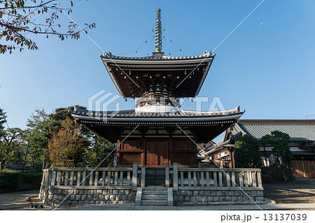 護国寺多宝塔 護国寺多宝塔 13137039