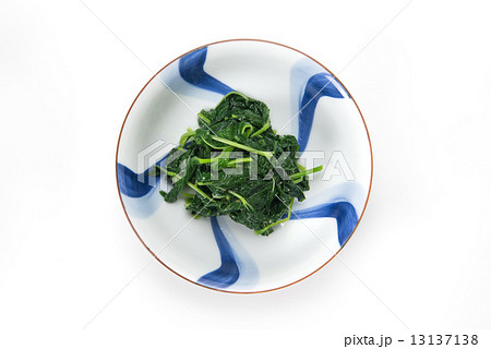 モロヘイヤ 13137138