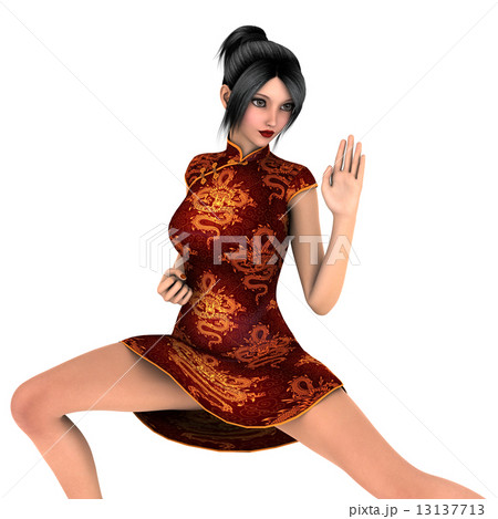 カンフーガール 13137713