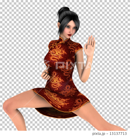 カンフーガール 13137713