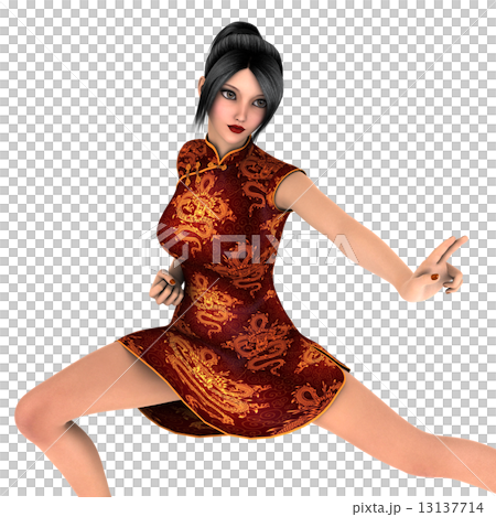 カンフーガール 13137714