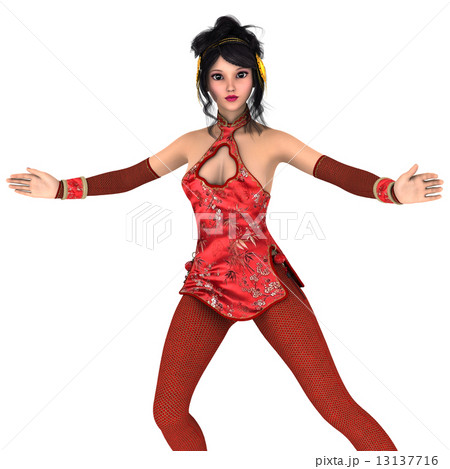 カンフーガール 13137716