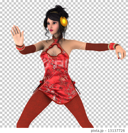 カンフーガール 13137726