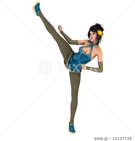 カンフーガール 13137738