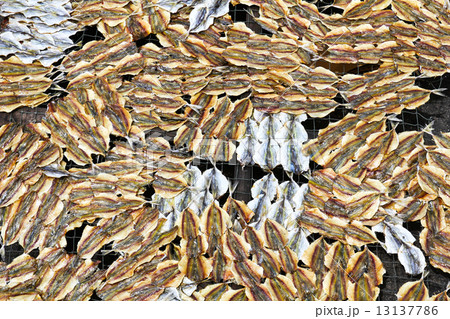 A dried under the sun salty fish gourmet 13137786