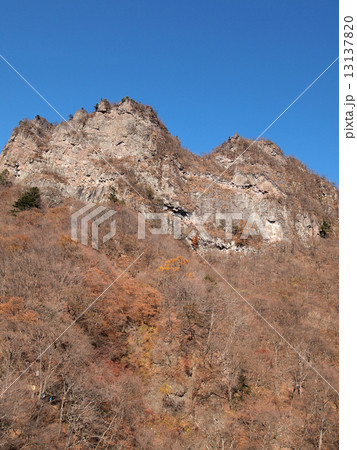 妙義の金洞山 13137820