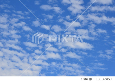 秋の空（神奈川県横浜市中区海岸通） 13137851