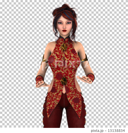 カンフーガール 13138834