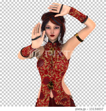 カンフーガール 13138837