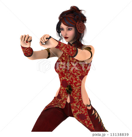 カンフーガール 13138839