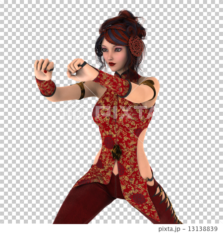 カンフーガール 13138839