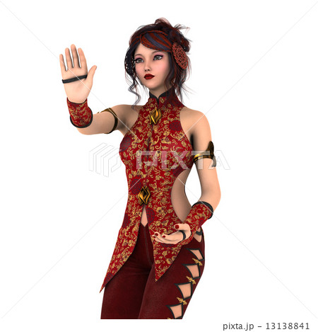 カンフーガール 13138841