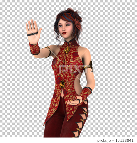 カンフーガール 13138841