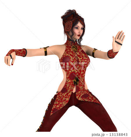 カンフーガール 13138843