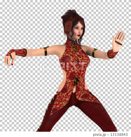 カンフーガール 13138843