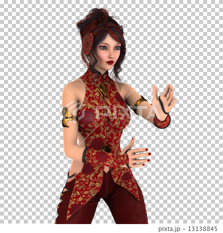 カンフーガール 13138845