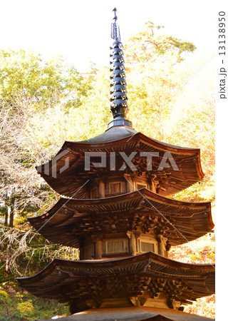 安楽寺八角三重塔 安楽寺八角三重塔 13138950