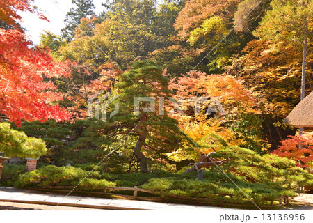 常楽寺の庭園 13138956